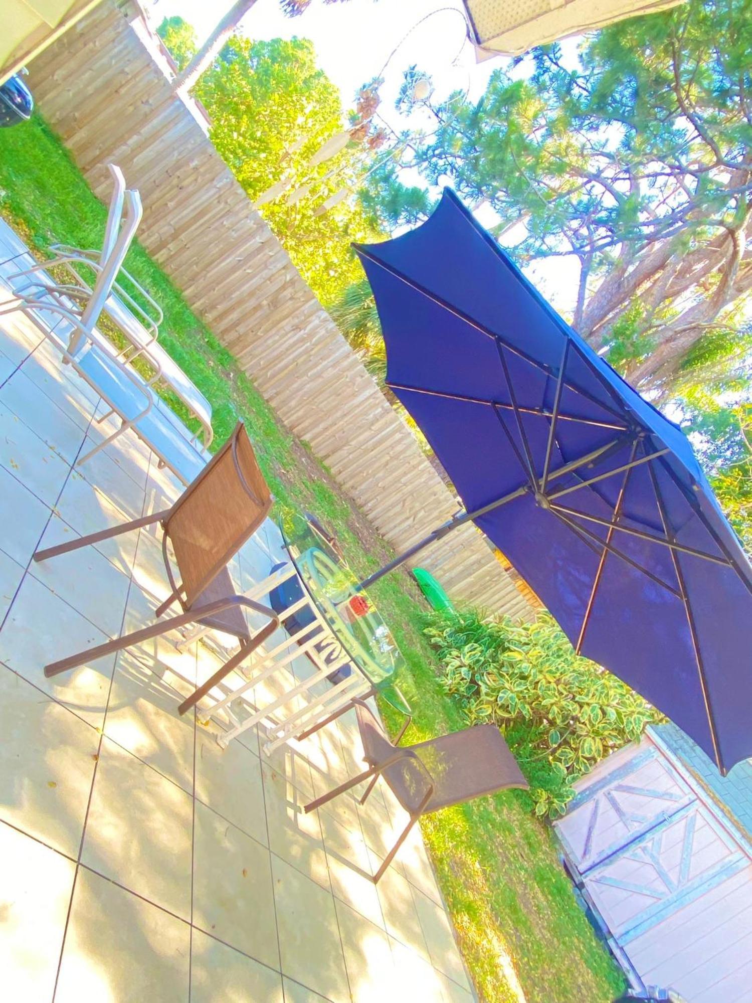 Cozy Studio Only 10 Minutes By Car Of Siesta Key Σεϊρασότα Εξωτερικό φωτογραφία